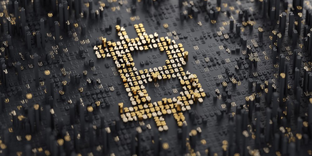 Bitcoin Yatırımcıları